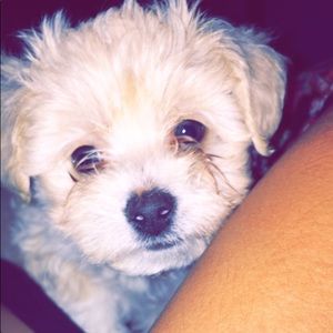 Meet your Posher, Narivi